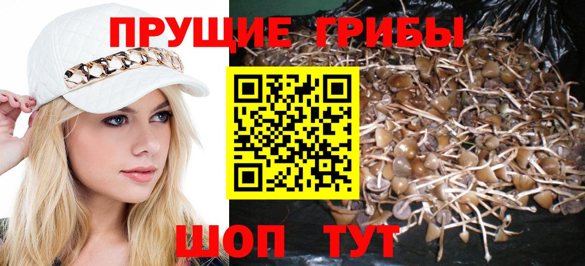 Псилоцибиновые грибы MAGIC MUSHROOMS Учалы